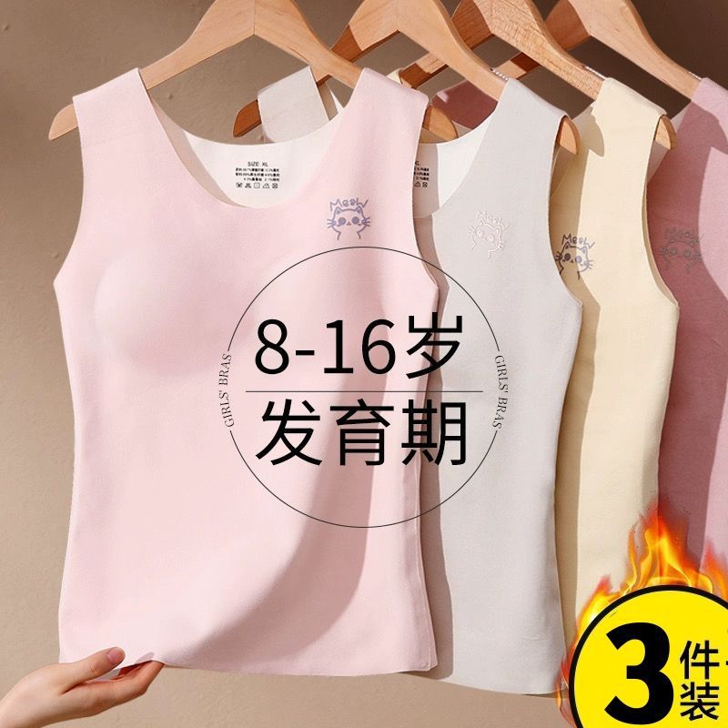 无线款天花板蒸锅